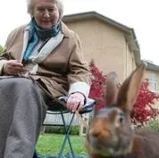 《和帕特里夏·劳特利奇一起追寻碧翠丝·波特》：走进童话世界，探寻彼得兔的创作灵感！